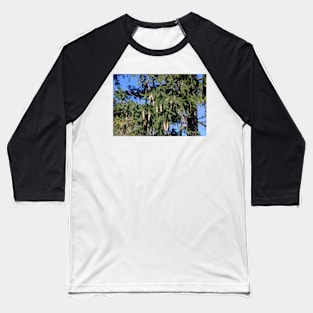 Pinecone and Fir tree Baseball T-Shirt